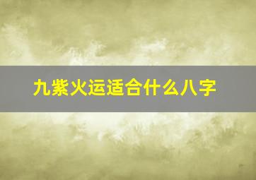 九紫火运适合什么八字