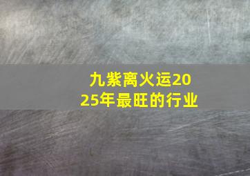 九紫离火运2025年最旺的行业