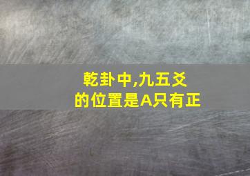 乾卦中,九五爻的位置是A只有正