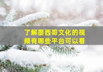 了解墨西哥文化的视频有哪些平台可以看