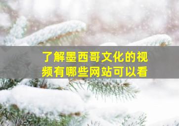 了解墨西哥文化的视频有哪些网站可以看