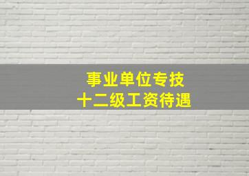 事业单位专技十二级工资待遇