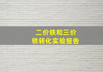 二价铁和三价铁转化实验报告