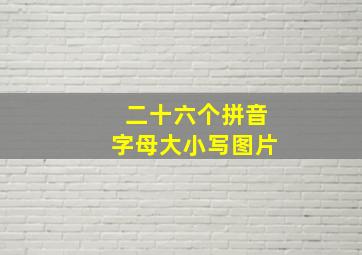 二十六个拼音字母大小写图片