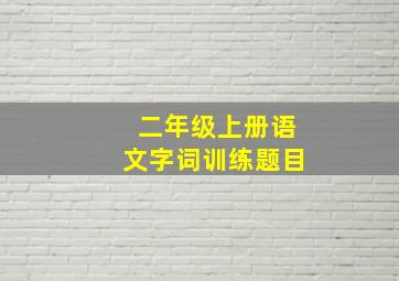 二年级上册语文字词训练题目