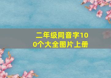 二年级同音字100个大全图片上册