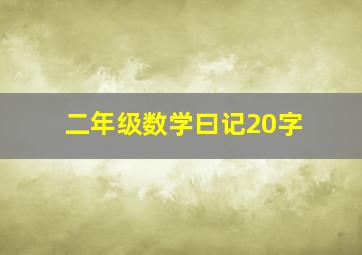 二年级数学曰记20字