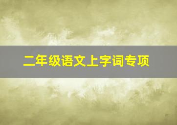 二年级语文上字词专项