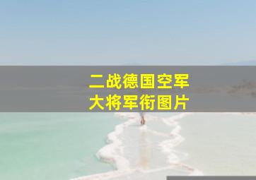 二战德国空军大将军衔图片