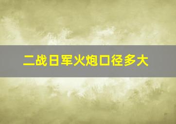 二战日军火炮口径多大