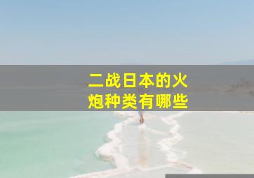 二战日本的火炮种类有哪些