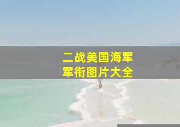 二战美国海军军衔图片大全