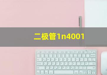 二极管1n4001