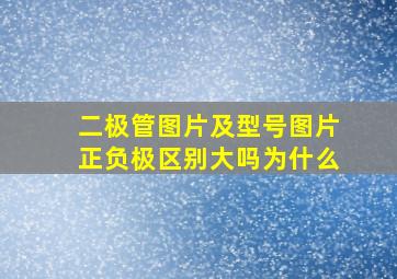 二极管图片及型号图片正负极区别大吗为什么