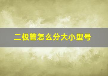 二极管怎么分大小型号