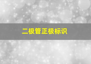 二极管正极标识