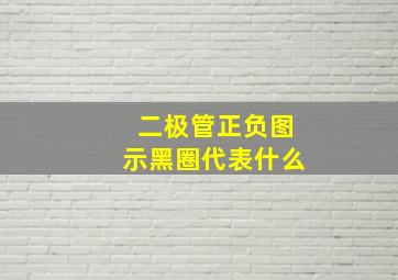 二极管正负图示黑圈代表什么