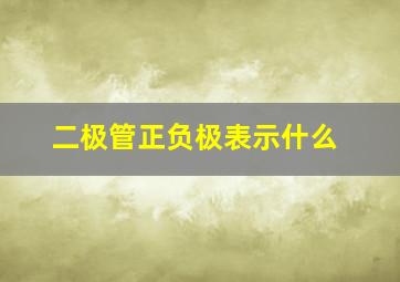 二极管正负极表示什么