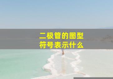 二极管的图型符号表示什么