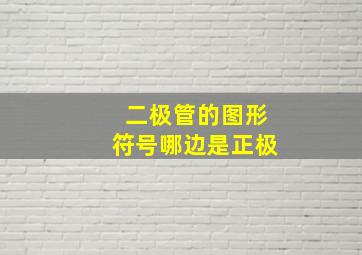 二极管的图形符号哪边是正极