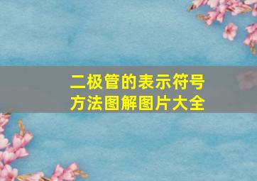 二极管的表示符号方法图解图片大全