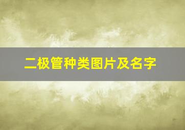 二极管种类图片及名字