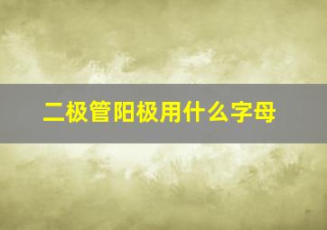 二极管阳极用什么字母