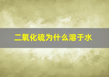 二氧化硫为什么溶于水