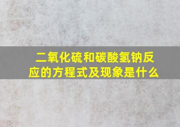 二氧化硫和碳酸氢钠反应的方程式及现象是什么