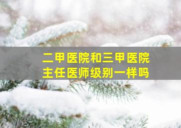 二甲医院和三甲医院主任医师级别一样吗