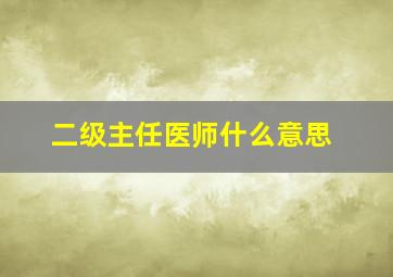 二级主任医师什么意思