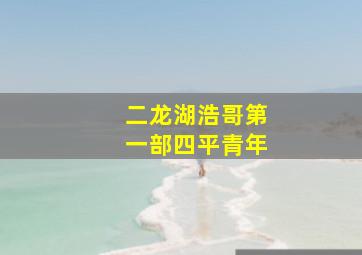 二龙湖浩哥第一部四平青年