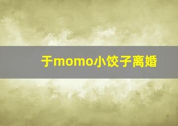 于momo小饺子离婚