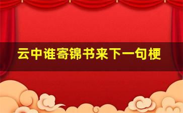 云中谁寄锦书来下一句梗