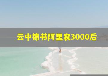 云中锦书阿里衮3000后