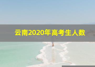 云南2020年高考生人数