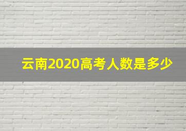 云南2020高考人数是多少