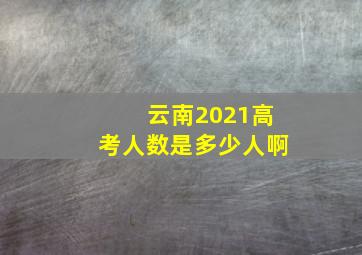 云南2021高考人数是多少人啊