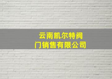 云南凯尔特阀门销售有限公司