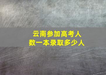 云南参加高考人数一本录取多少人