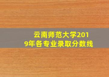 云南师范大学2019年各专业录取分数线