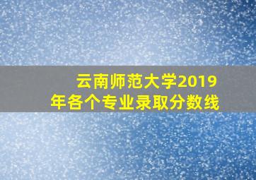 云南师范大学2019年各个专业录取分数线