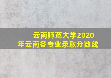 云南师范大学2020年云南各专业录取分数线