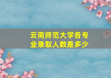 云南师范大学各专业录取人数是多少