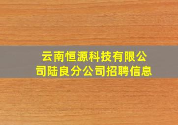 云南恒源科技有限公司陆良分公司招聘信息