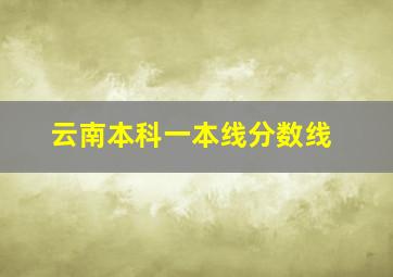 云南本科一本线分数线