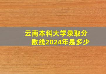 云南本科大学录取分数线2024年是多少