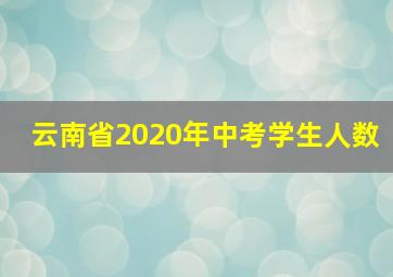 云南省2020年中考学生人数