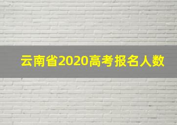 云南省2020高考报名人数