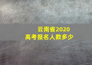 云南省2020高考报名人数多少